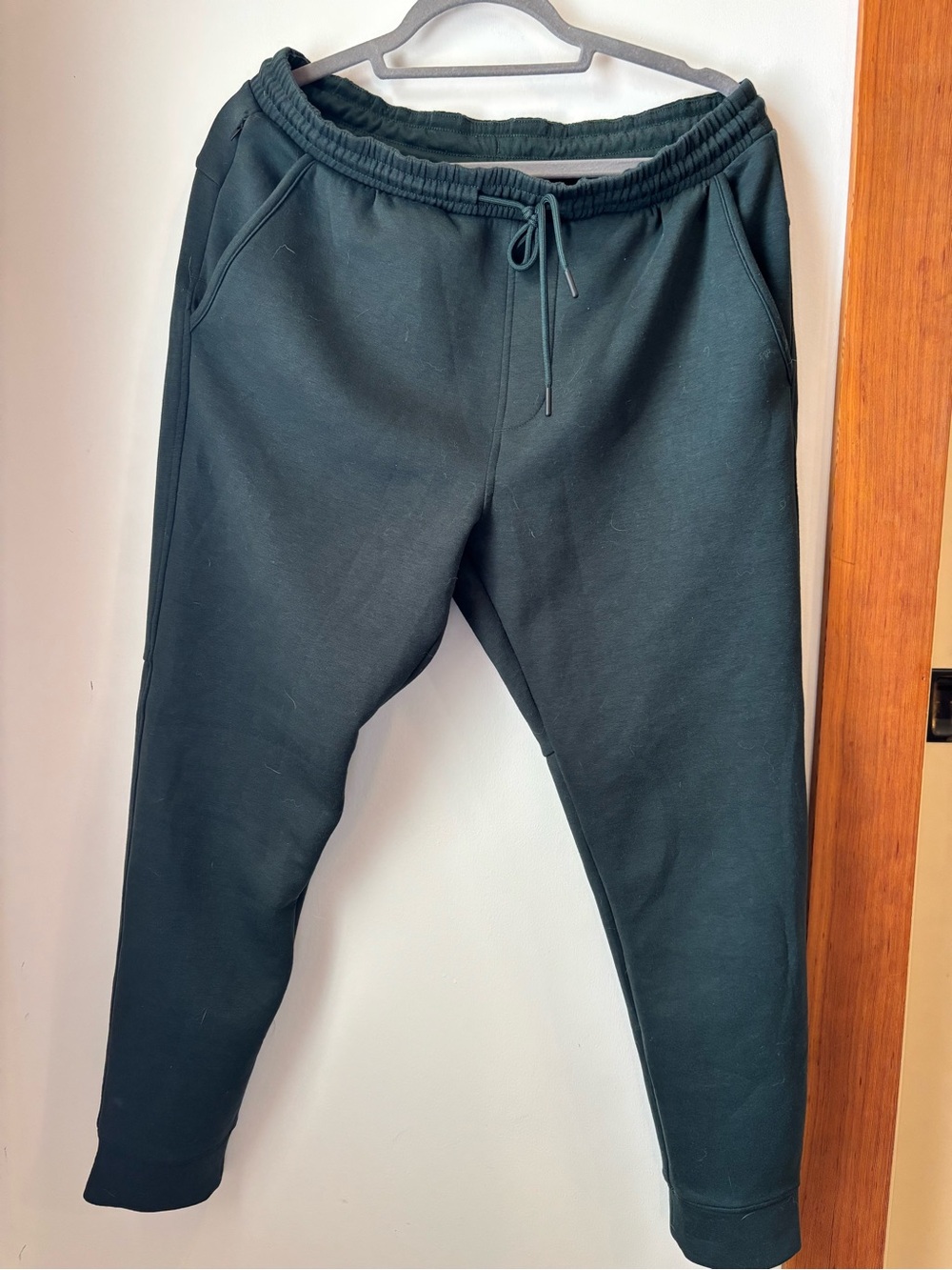 American Eagle Outfitters hunter green Joggers